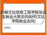 安徽文达信息工程学院毕业生就业大致去向如何(文达学院就业去向)