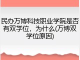 民办万博科技职业学院是否有双学位，为什么(万博双学位原因)
