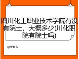 四川化工职业技术学院有没有院士，大概多少(川化职院有院士吗)