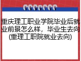 重庆理工职业学院毕业后就业前景怎么样，毕业生去向(重理工职院就业去向)