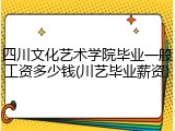 四川文化艺术学院毕业一般工资多少钱(川艺毕业薪资)