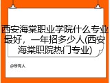 西安海棠职业学院什么专业最好，一年招多少人(西安海棠职院热门专业)