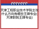 天津工程职业技术学院主攻什么方向有哪些王牌专业(天津职院王牌专业)