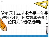 哈尔滨职业技术大学一年学费多少钱，还有哪些费用(哈职大学费及费用)