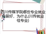 四川传媒学院哪些专业就业前景好，为什么(川传就业佳专业)