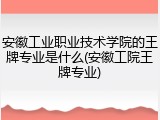 安徽工业职业技术学院的王牌专业是什么(安徽工院王牌专业)