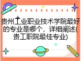 贵州工业职业技术学院最好的专业是哪个，详细阐述(贵工职院最佳专业)