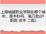 上海城建职业学院在哪个城市，是本科吗，第几批(沪职院 非本 二批)