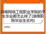 湖南网络工程职业学院的学生毕业都怎么样了(湖南职院毕业生去向)