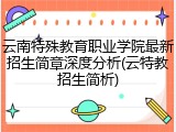 云南特殊教育职业学院最新招生简章深度分析(云特教招生简析)
