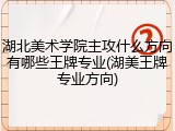 湖北美术学院主攻什么方向有哪些王牌专业(湖美王牌专业方向)