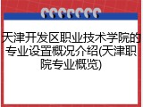 天津开发区职业技术学院的专业设置概况介绍(天津职院专业概览)
