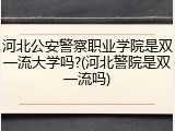 河北公安警察职业学院是双一流大学吗?(河北警院是双一流吗)