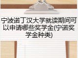 宁波诺丁汉大学就读期间可以申请哪些奖学金(宁诺奖学金种类)