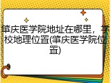 肇庆医学院地址在哪里，学校地理位置(肇庆医学院位置)