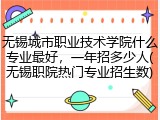 无锡城市职业技术学院什么专业最好，一年招多少人(无锡职院热门专业招生数)