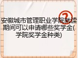 安徽城市管理职业学院就读期间可以申请哪些奖学金(学院奖学金种类)