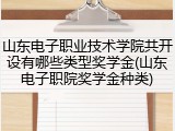 山东电子职业技术学院共开设有哪些类型奖学金(山东电子职院奖学金种类)