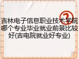 吉林电子信息职业技术学院哪个专业毕业就业前景比较好(吉电院就业好专业)