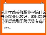 湖北孝感美珈职业学院什么专业就业比较好，原因是啥("孝感美珈职院优势专业")