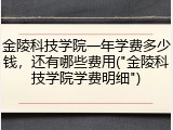 金陵科技学院一年学费多少钱，还有哪些费用("金陵科技学院学费明细")