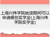 上海兴伟学院就读期间可以申请哪些奖学金(上海兴伟学院奖学金)