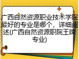 广西自然资源职业技术学院最好的专业是哪个，详细阐述(广西自然资源职院王牌专业)