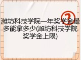 潍坊科技学院一年奖学金最多能拿多少(潍坊科技学院奖学金上限)