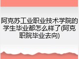 阿克苏工业职业技术学院的学生毕业都怎么样了(阿克职院毕业去向)