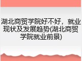 湖北商贸学院好不好，就业现状及发展趋势(湖北商贸学院就业前景)