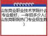 山东商业职业技术学院什么专业最好，一年招多少人(山东商职院热门专业招生数)