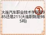 大连汽车职业技术学院是985还是211(大连职院是985吗)