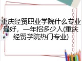 重庆经贸职业学院什么专业最好，一年招多少人(重庆经贸学院热门专业)