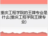 重庆工程学院的王牌专业是什么(重庆工程学院王牌专业)