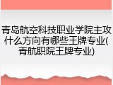 青岛航空科技职业学院主攻什么方向有哪些王牌专业(青航职院王牌专业)