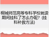 桐城师范高等专科学校就读期间挂科了怎么办呢？(挂科补救方法)