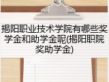 揭阳职业技术学院有哪些奖学金和助学金呢(揭阳职院奖助学金)