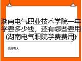 湖南电气职业技术学院一年学费多少钱，还有哪些费用(湖南电气职院学费费用)
