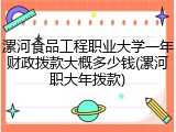 漯河食品工程职业大学一年财政拨款大概多少钱(漯河职大年拨款)