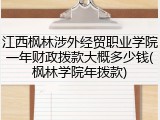 江西枫林涉外经贸职业学院一年财政拨款大概多少钱(枫林学院年拨款)