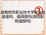 湖南商务职业技术学院含金量量吗，值得报吗(湘商职院值报吗)