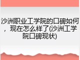 沙洲职业工学院的口碑如何，现在怎么样了(沙洲工学院口碑现状)