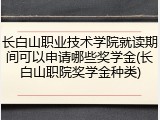 长白山职业技术学院就读期间可以申请哪些奖学金(长白山职院奖学金种类)