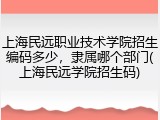 上海民远职业技术学院招生编码多少，隶属哪个部门(上海民远学院招生码)