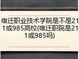 宿迁职业技术学院是不是211或985高校(宿迁职院是211或985吗)