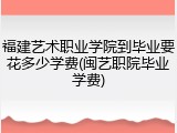 福建艺术职业学院到毕业要花多少学费(闽艺职院毕业学费)