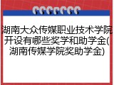 湖南大众传媒职业技术学院开设有哪些奖学和助学金(湖南传媒学院奖助学金)