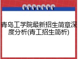 青岛工学院最新招生简章深度分析(青工招生简析)