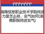 湖南信息职业技术学院师资力量怎么样，名气如何(湖南职院师资名气)