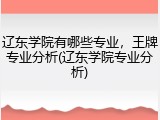 辽东学院有哪些专业，王牌专业分析(辽东学院专业分析)